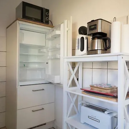 Sonnenblume Himmelpfort Pian