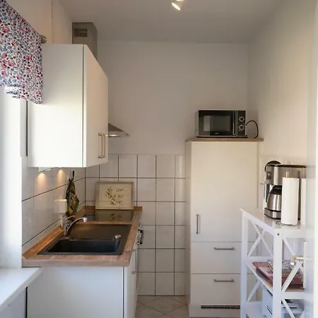 Sonnenblume Himmelpfort