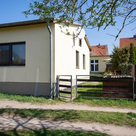 Sonnenblume Himmelpfort * Pian